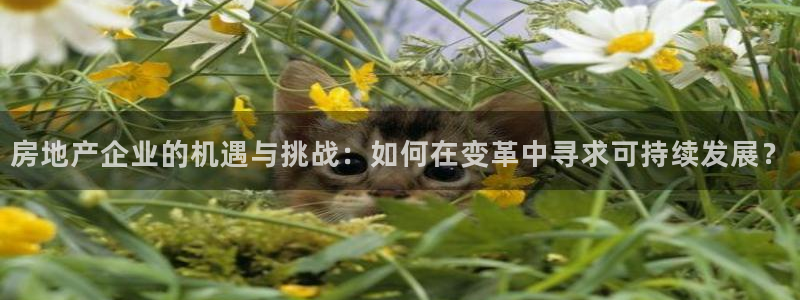 新宝5账号注册：房地产企业的机遇与挑战：如何在变革中寻求可持