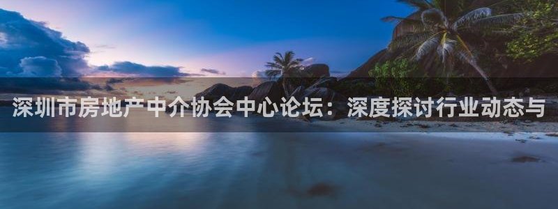 新宝股东王听2 5 5：深圳市房地产中介协会中心论坛：深度探