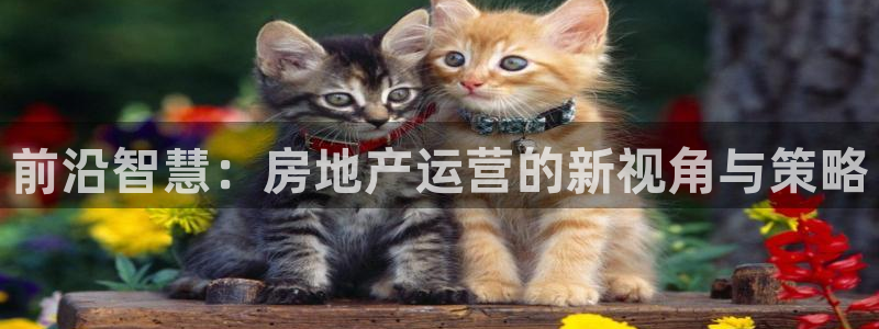 新宝5官方登录入口：前沿智慧：房地产运营的新视角与策略