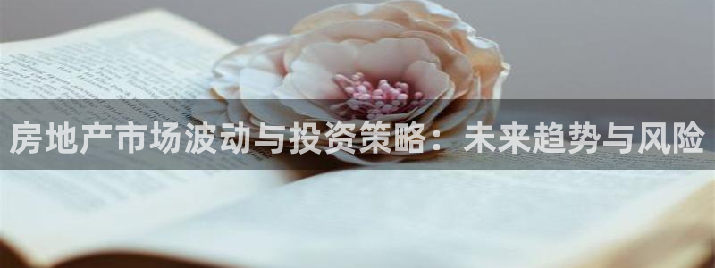 新宝那2O5O5O：房地产市场波动与投资策略：未来趋势与风险