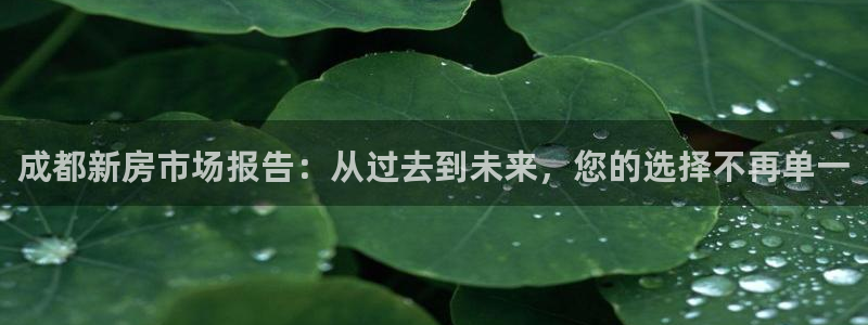 新宝5娱乐招商：成都新房市场报告：从过去到未来，您的选择不再