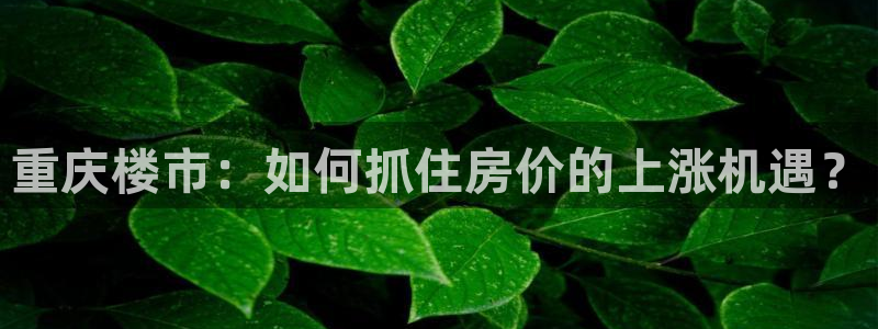 新宝堂新会陈皮5年：重庆楼市：如何抓住房价的上涨机遇？