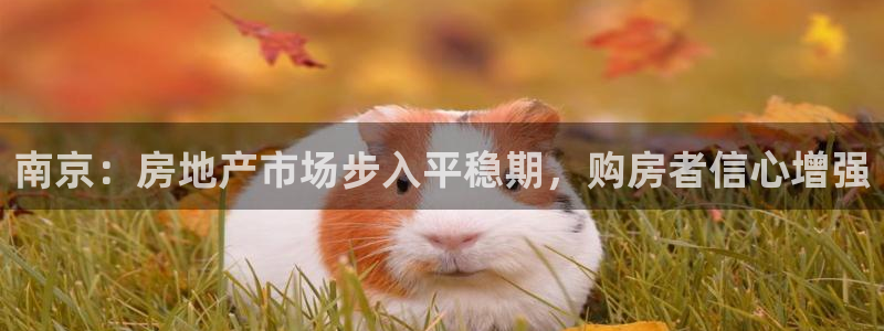 新宝5的网址