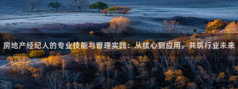 新宝5账号注册：房地产经纪人的专业技能与管理实践：从核心到应