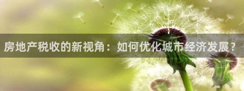 新宝5吕74OOO5：房地产税收的新视角：如何优化城市经济发