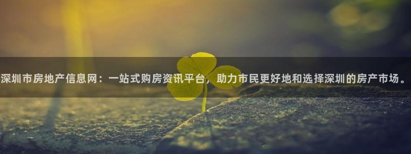 新宝5的网址：深圳市房地产信息网：一站式购房资讯平台，助力市