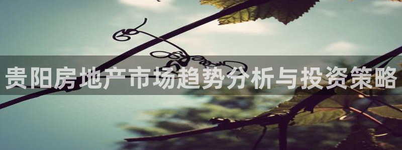 新宝测速5：贵阳房地产市场趋势分析与投资策略