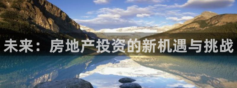 新宝5测登录：未来：房地产投资的新机遇与挑战