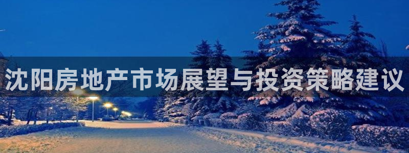 新宝5寂创33300散：沈阳房地产市场展望与投资策略建议