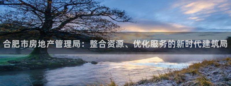新宝5导师：合肥市房地产管理局：整合资源、优化服务的新时代建