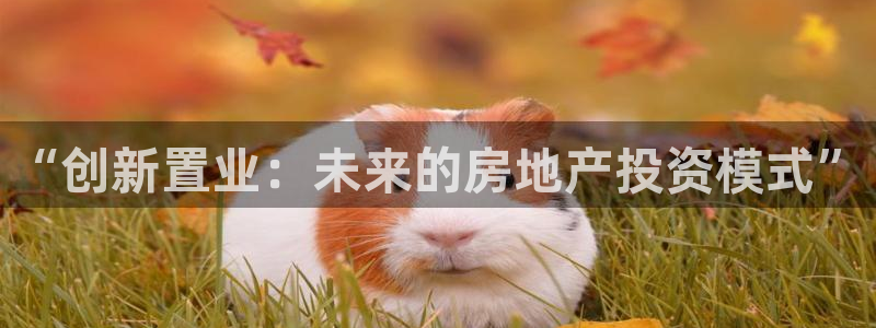 老新宝5授权登录：“创新置业：未来的房地产投资模式”