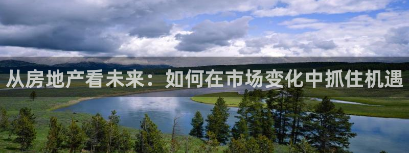 新宝5手机下载：从房地产看未来：如何在市场变化中抓住机遇