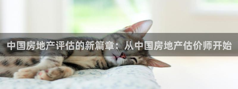 新宝5注册平台：中国房地产评估的新篇章：从中国房地产估价师开