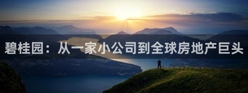 新宝5登录注册：碧桂园：从一家小公司到全球房地产巨头