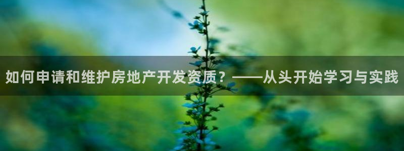 新宝5官网67五壹叁八：如何申请和维护房地产开发资质？——从
