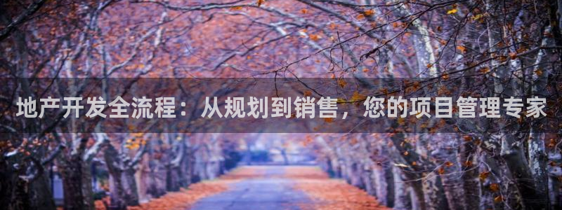 新宝5如何注册：地产开发全流程：从规划到销售，您的项目管理专