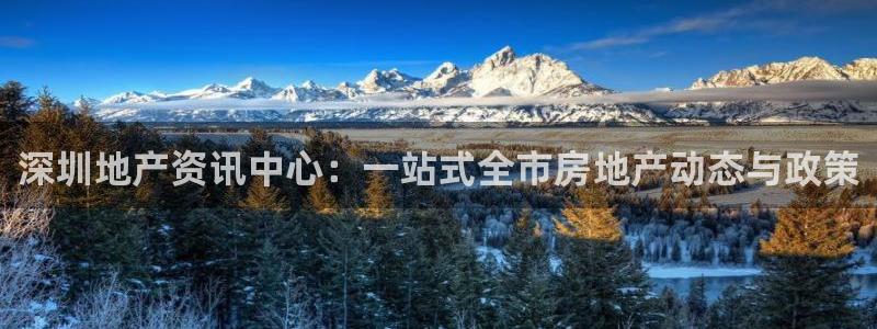 新宝rc_5w：深圳地产资讯中心：一站式全市房地产动态与政策