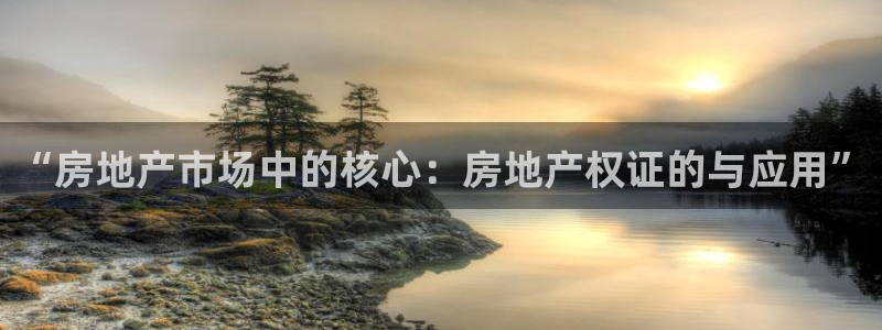 新宝5娱乐注册：“房地产市场中的核心：房地产权证的与应用”