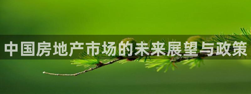 新宝5下载：中国房地产市场的未来展望与政策