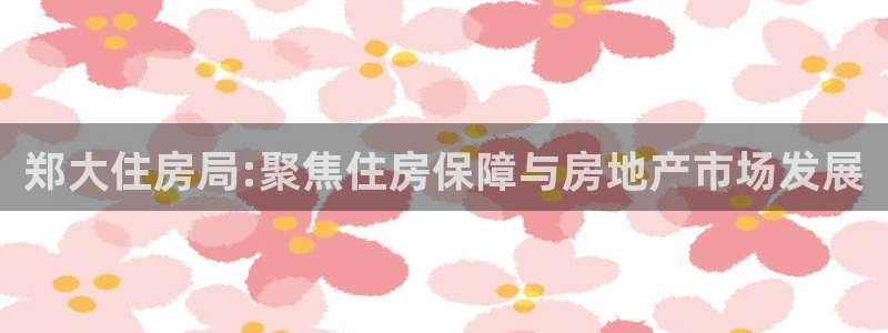 新宝5 代理：郑大住房局:聚焦住房保障与房地产市场发展