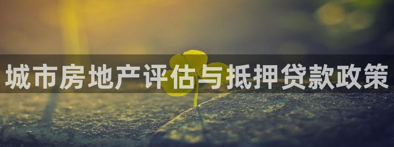 新宝5登录平台：城市房地产评估与抵押贷款政策
