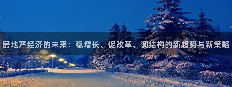 新宝5手机版登录：房地产经济的未来：稳增长、促改革、调结构的