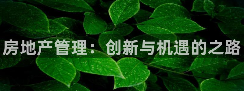 新宝5登录注册：房地产管理：创新与机遇的之路
