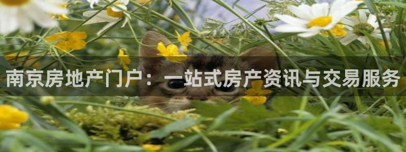 新宝5登录测速中心：南京房地产门户：一站式房产资讯与交易服务