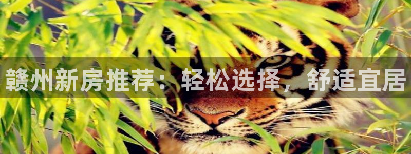 新宝5下载到桌面：赣州新房推荐：轻松选择，舒适宜居