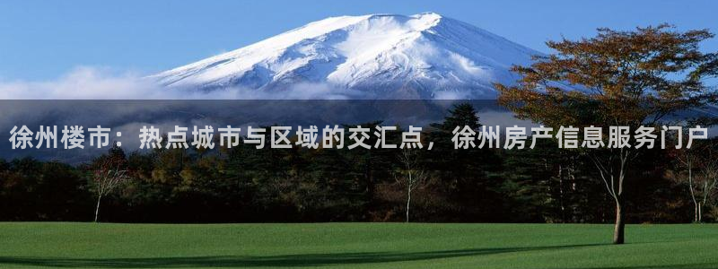 新宝5公司：徐州楼市：热点城市与区域的交汇点，徐州房产信息服