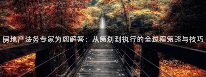 新宝5app手机下载：房地产法务专家为您解答：从策划到执行的