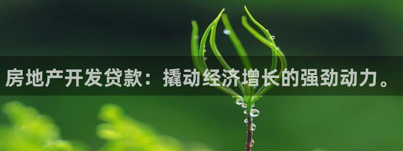 新宝骏rc5W：房地产开发贷款：撬动经济增长的强劲动力。