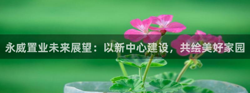 新宝5手机登陆：永威置业未来展望：以新中心建设，共绘美好家园