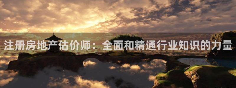 新宝股东瞧听2 5 5：注册房地产估价师：全面和精通行业知识