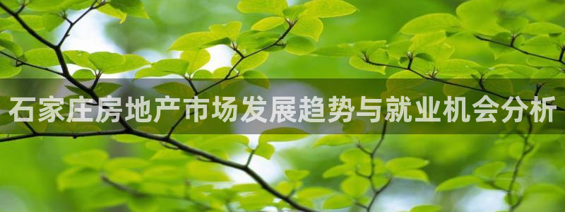 新宝5客户端登录：石家庄房地产市场发展趋势与就业机会分析
