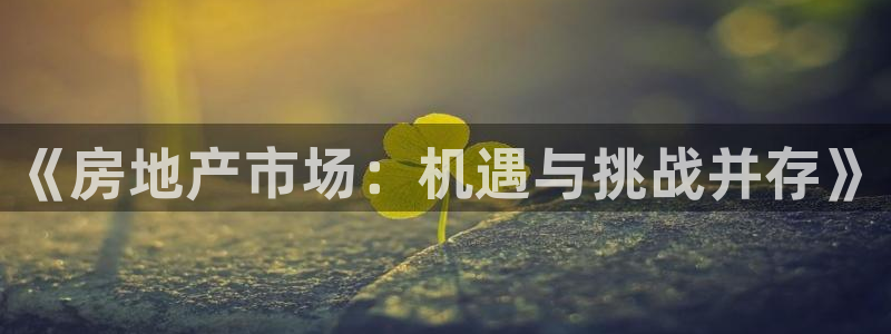 新宝注5册：《房地产市场：机遇与挑战并存》