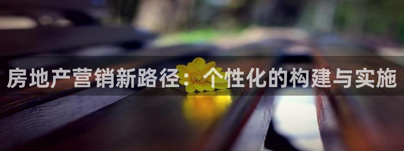 新宝股东张听2 5 5：房地产营销新路径：个性化的构建与实施