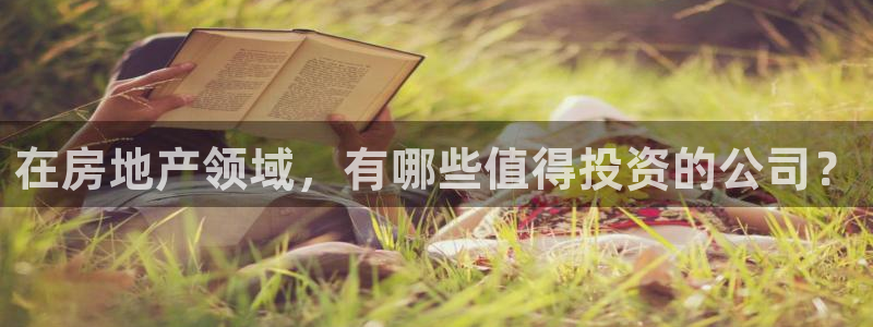 新宝5手机平台登陆：在房地产领域，有哪些值得投资的公司？