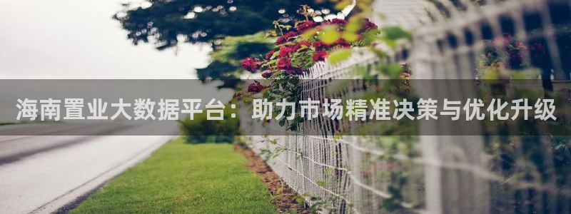 新宝5招商部：海南置业大数据平台：助力市场精准决策与优化升级