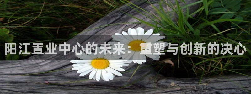 新宝速5：阳江置业中心的未来：重塑与创新的决心