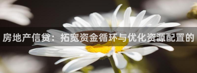 新宝5下载测试：房地产信贷：拓宽资金循环与优化资源配置的