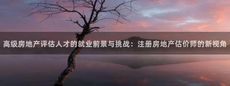 新宝5侹刔：高级房地产评估人才的就业前景与挑战：注册房地产估