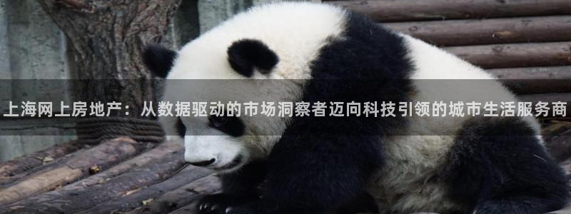 新宝5娱乐代理：上海网上房地产：从数据驱动的市场洞察者迈向科