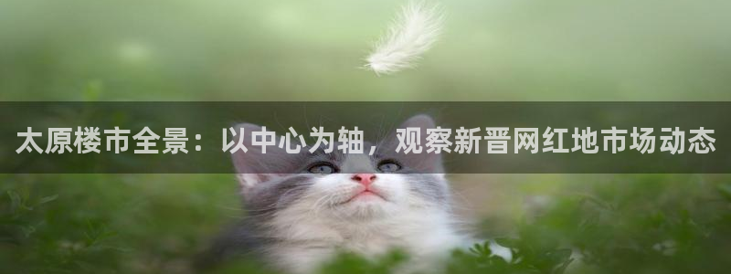 新5宝：太原楼市全景：以中心为轴，观察新晋网红地市场动态