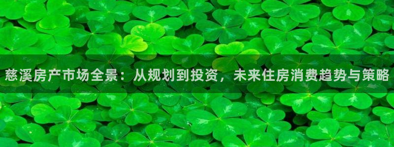 新宝5怎么代理：慈溪房产市场全景：从规划到投资，未来住房消费