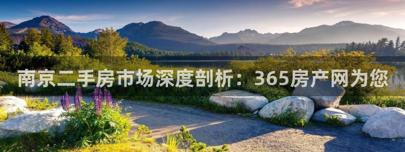 新宝5手机平台登陆：南京二手房市场深度剖析：365房产网为您