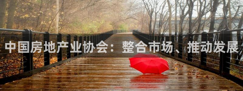 新宝5安卓版：中国房地产业协会：整合市场、推动发展