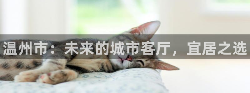 新宝5 注册：温州市：未来的城市客厅，宜居之选