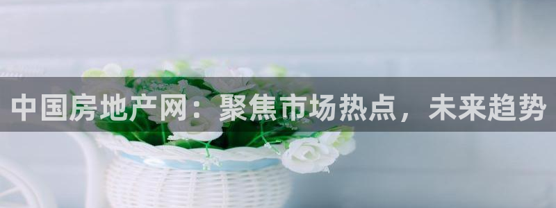 新宝新5：中国房地产网：聚焦市场热点，未来趋势