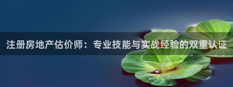 新宝5娱乐都：注册房地产估价师：专业技能与实战经验的双重认证